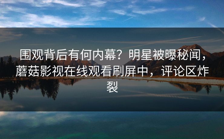 围观背后有何内幕？明星被曝秘闻，蘑菇影视在线观看刷屏中，评论区炸裂